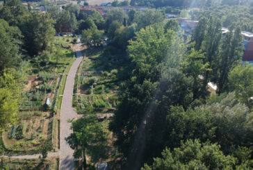Orti urbani San Miniato: pubblicata la graduatoria provvisoria