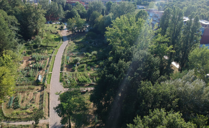 Orti urbani San Miniato: pubblicata la graduatoria provvisoria