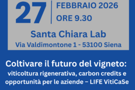 Coltivare il futuro del vigneto: incontro di UPA Siena