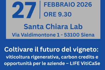 Coltivare il futuro del vigneto: incontro di UPA Siena