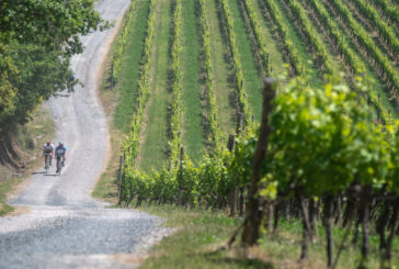 La primavera della bellezza della fatica: il 31 maggio dieci anni di Eroica Montalcino