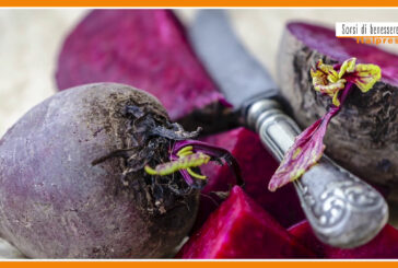 Sorsi di Benessere – Un condimento con ricotta, nocciole e barbabietole