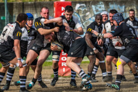 Rugby: il CUS Siena cade a Sesto Fiorentino