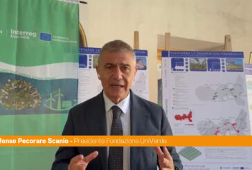 Pecoraro Scanio "Contro crisi energetica la sfida delle rinnovabili sostenibili"