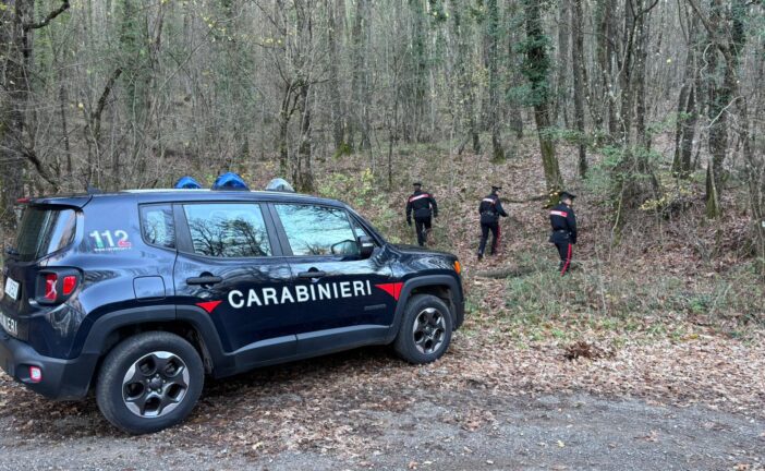 Smantellato dai carabinieri un bivacco “di spaccio” nel bosco di Murlo