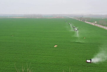 Cina, una fattoria smart trasforma la coltivazione dei cereali