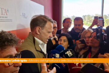 Lollobrigida "Ipotesi elezioni anticipate? Non mi risulta"