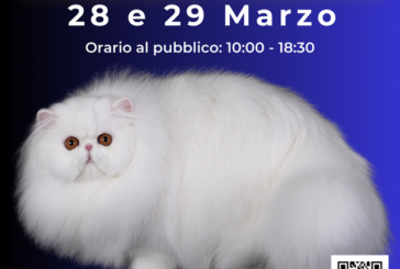 Tutti i gatti del mondo in fiera al PalaOrlandi