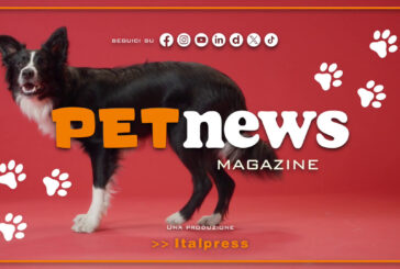 PetNews Magazine – 16/3/2026