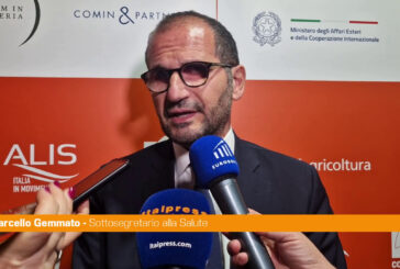 Governo, Gemmato "Rimpasto? Non lo vedo all'orizzonte"