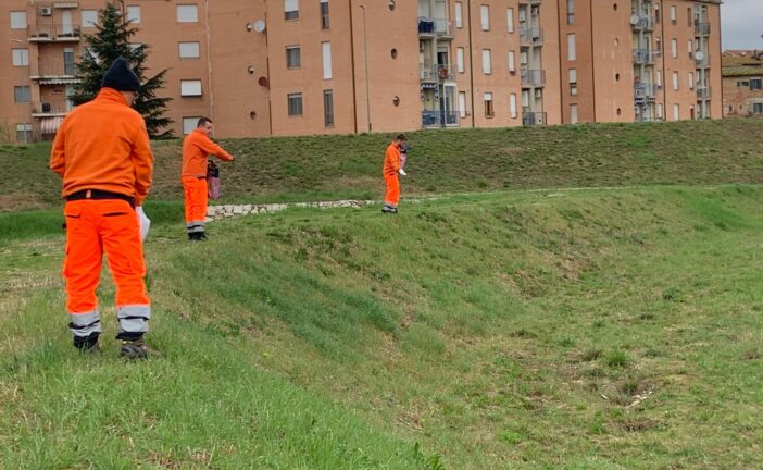 “Argini fioriti”: il progetto di CB6 e Uni Pisa sbarca a Siena