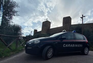 “Bosco” dello spaccio scoperto dai militari in località Fungaia