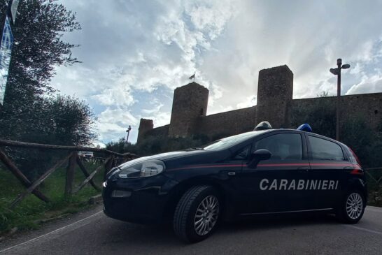 “Bosco” dello spaccio scoperto dai militari in località Fungaia