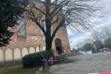Il Comune sostituirà il tiglio di San Domenico