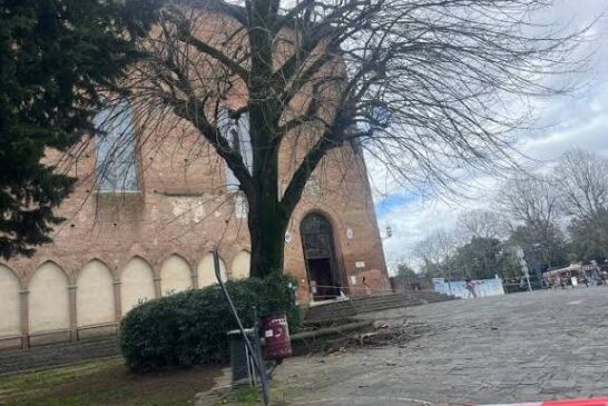 Il Comune sostituirà il tiglio di San Domenico