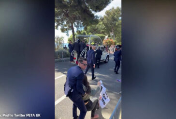 Attiviste Peta bloccano papamobile a Monaco per protesta contro le corride