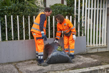 Abbadia San Salvatore: come conferire sfalci e potature delle utenze domestiche