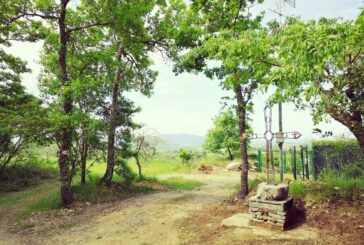 Camminando a Quercegrossa e Le Bollicine in un’escursione di solidarietà sulla Romea