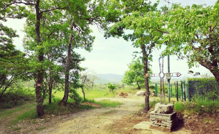 Camminando a Quercegrossa e Le Bollicine in un’escursione di solidarietà sulla Romea