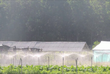Nuove risorse per il Bando Agrisolare