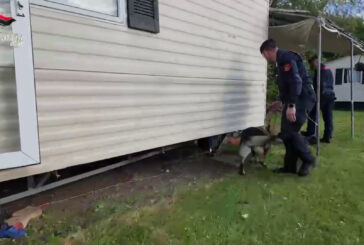 Furti in abitazione tra Friuli e Veneto: 5 misure cautelari, 4 in carcere