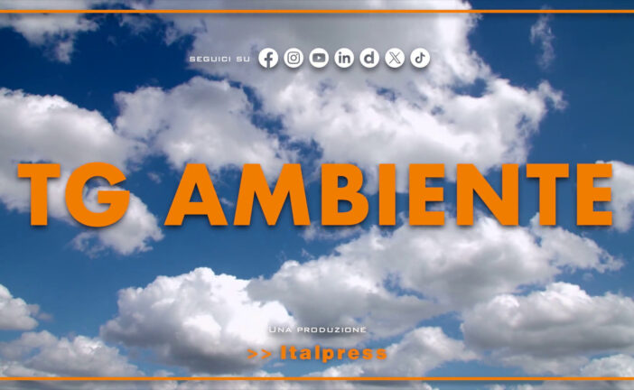 Tg Ambiente – 19/4/2026