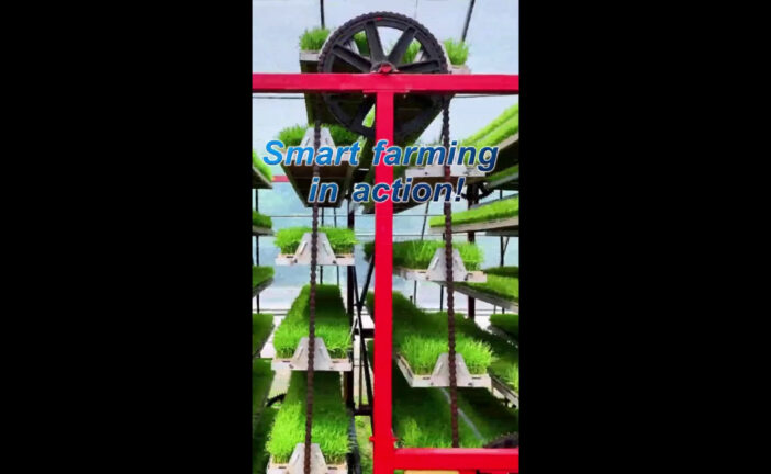 Cina: agricoltura smart, piantine di riso coltivate "in ascensore"