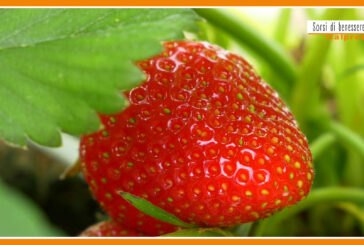 Sorsi di Benessere – Una merenda con fragole e skyr