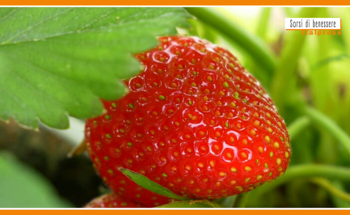 Sorsi di Benessere – Una merenda con fragole e skyr