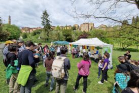 BioBlitz Siena: l’evento dell’Accademia dei Fisiocritici per la City Natur Challenge