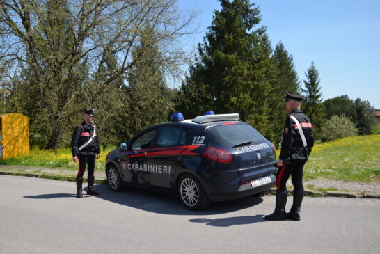 Carabinieri: bonificati due accampamenti dello spaccio a Sovicille