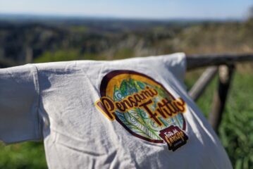 Festa del Carciofo di Chiusure: 4 giorni tra gusto, natura e spettacoli