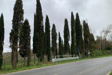 Cb6 Toscana Sud al lavoro in Val di Cava a Montalcino