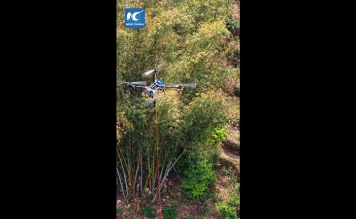 Cina, droni trasportano tè dalle piantagioni montane