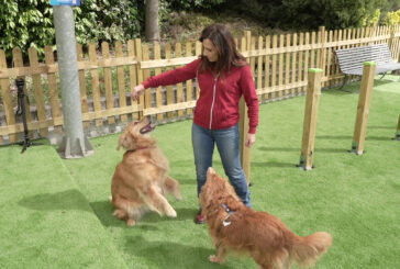A MagicLand nasce DogLand – Anas, area dedicata al divertimento dei cani