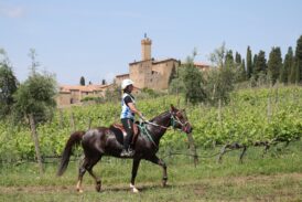 Equitazione: il grande Endurance torna a Montalcino con la novità dei pony