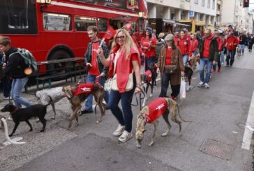 A Siena una passeggiata per salvare i levrieri