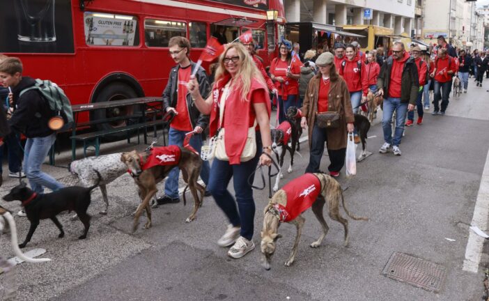 A Siena una passeggiata per salvare i levrieri