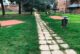 Giardini di via Pieraccini: affidati i lavori di riqualificazione