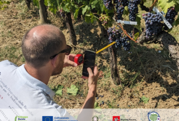VITESAT: innovazione e agricoltura di precisione per il vigneto toscano