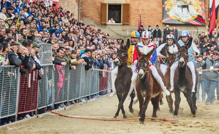 Palio dei Somari straordinario per i 60 anni della festa di Torrita