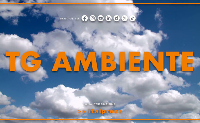 Tg Ambiente – 24/5/2026