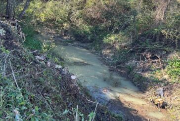 Pronto intervento sul Bozzone a Castelnuovo Berardenga