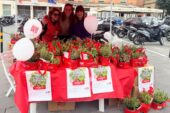 Le Erbe Aromatiche di AISM in piazza il 23 e 24 maggio