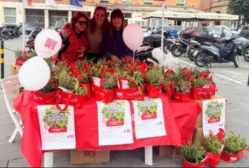 Le Erbe Aromatiche di AISM in piazza il 23 e 24 maggio