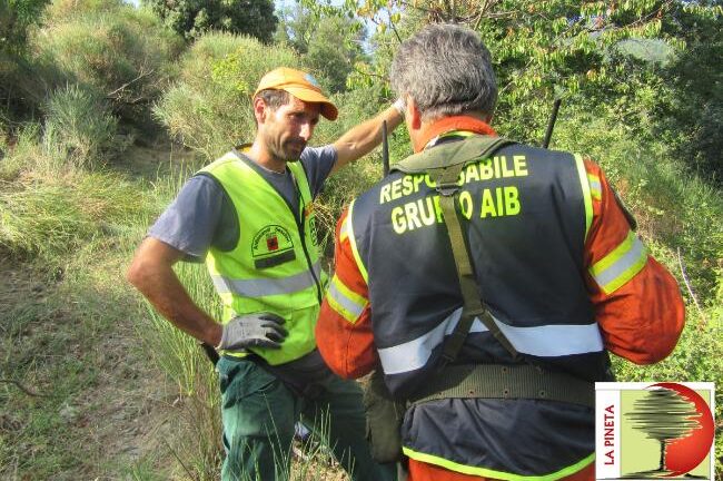 Giovani volontari antincendio: al via il reclutamento della Regione