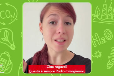 Anche le scimmie sono gelose