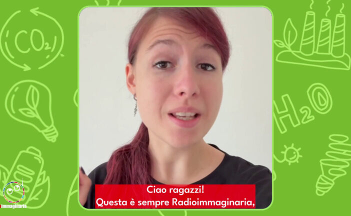 Anche le scimmie sono gelose