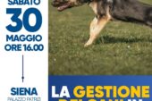A Palazzo Patrizi il convegno-studio “La gestione dei cani in sicurezza”