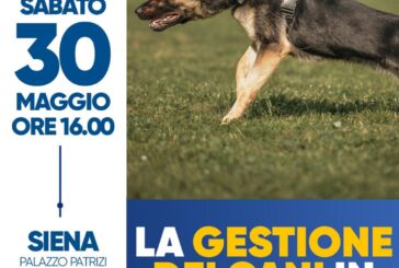 A Palazzo Patrizi il convegno-studio “La gestione dei cani in sicurezza”